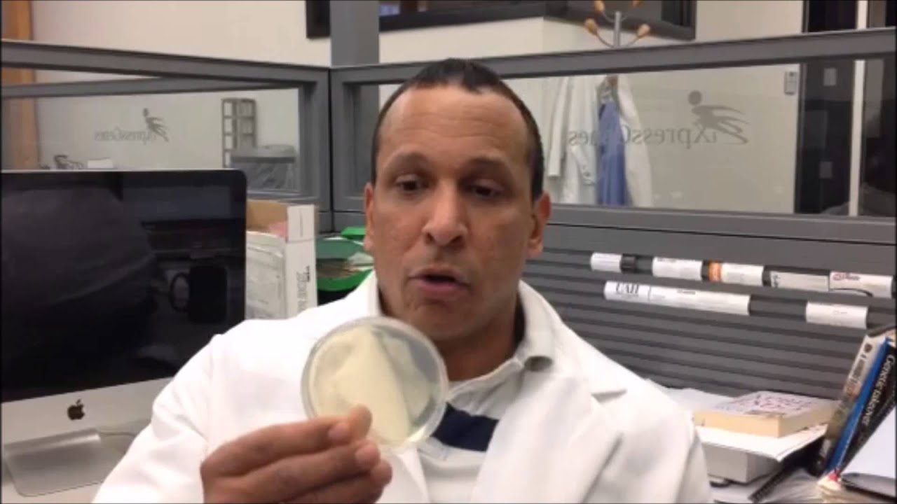 bienvenito  SynBio 101