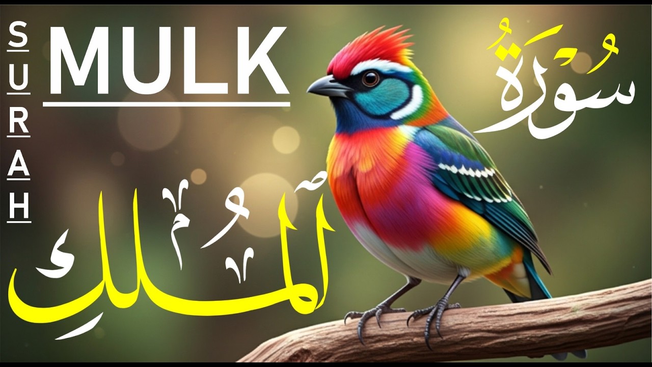 Surah Al-Mulk Full HD | Protection From Grave Punishment | Heart Touching Tilawat