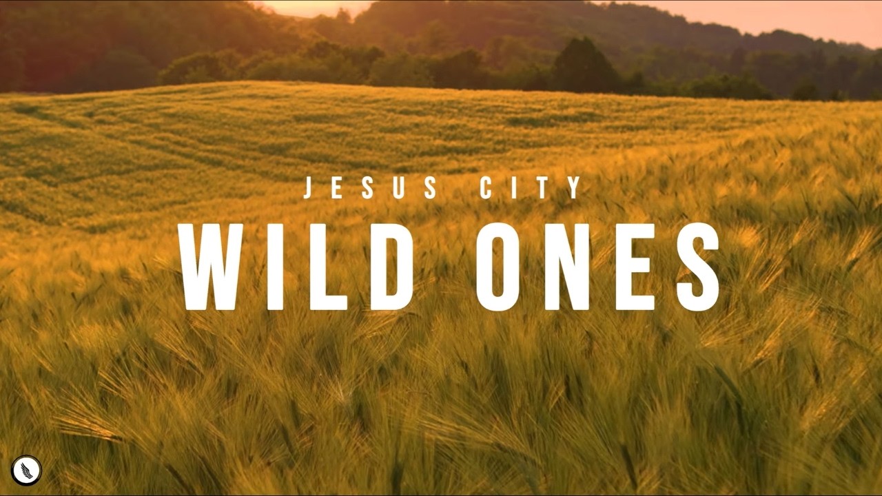 Wild Ones