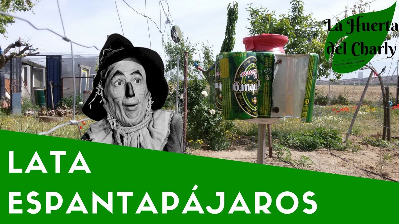 Lata EspantaPájaros. Molinillo con Sonido.