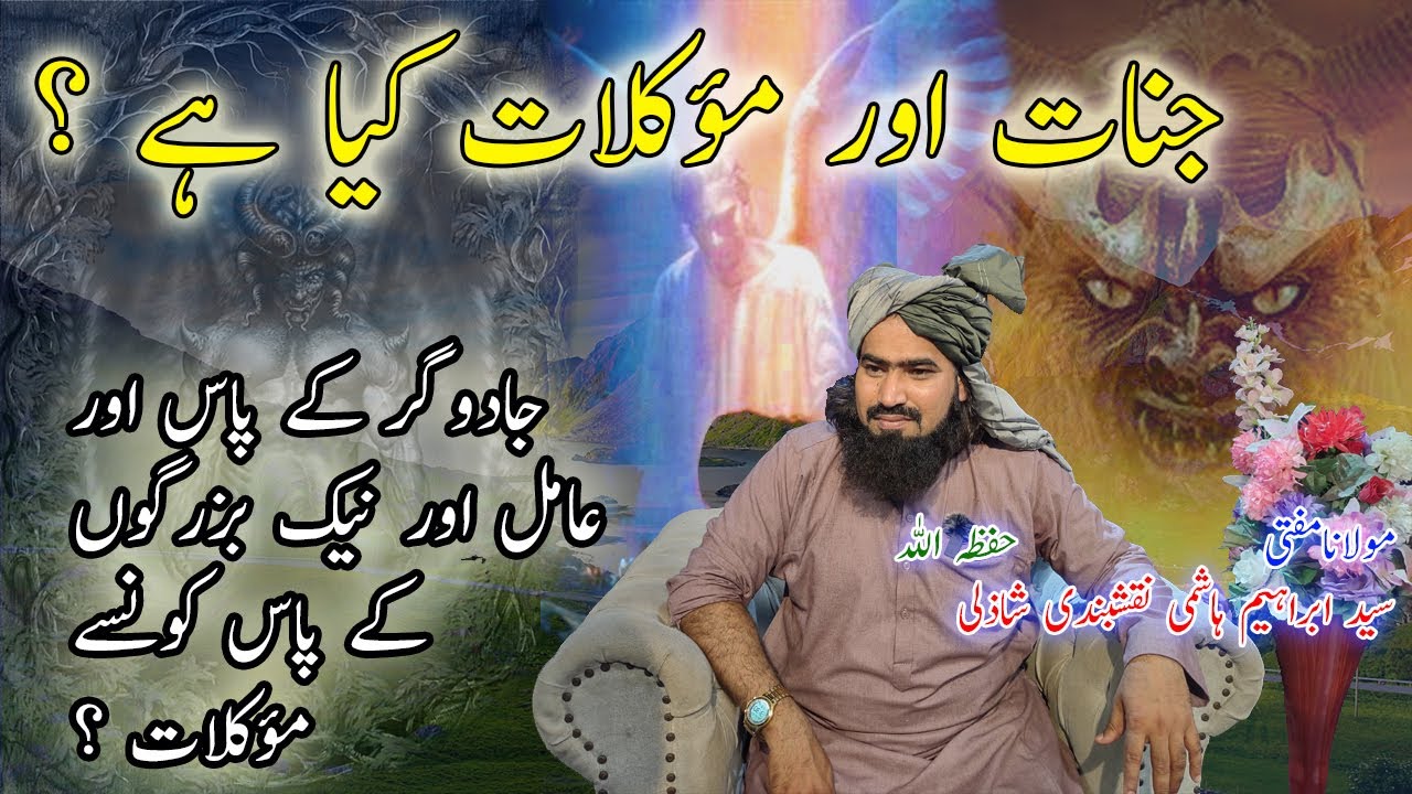 Jinnat kya hai | Mokelat kya hai | Syed Ibrahim naqshbandi shazli| #snznstv #shazli #roshni