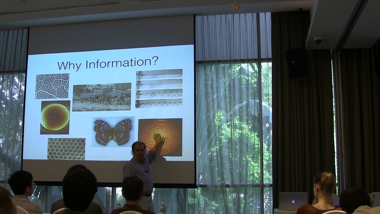The Complexity of Simplicity by Prof. James Crutchfield