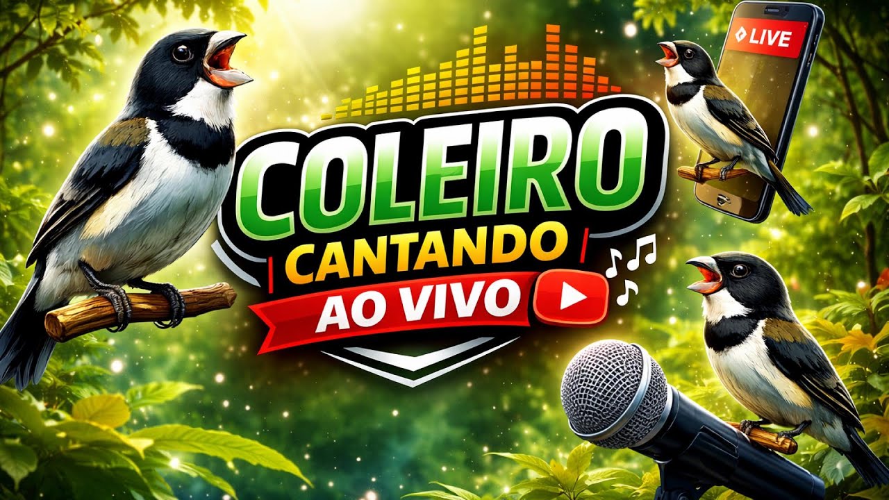 Coleiro Canto Real está ao vivo! 04/02/26