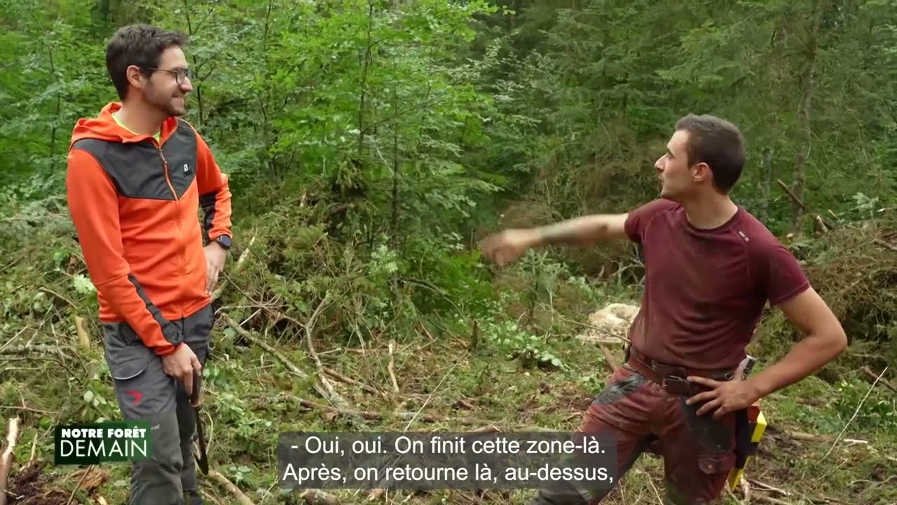 🌳NFD Extrait Focus : Lutter contre les scolytes (Emission 6)