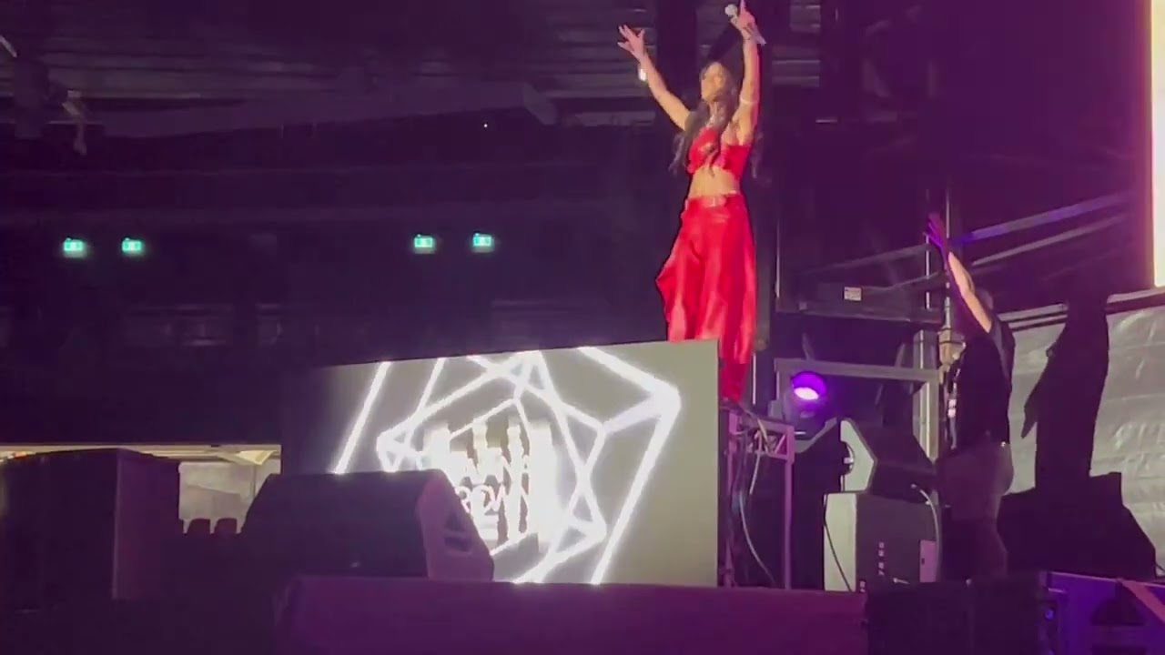 We Run The Night - DJ Havana Brown Live