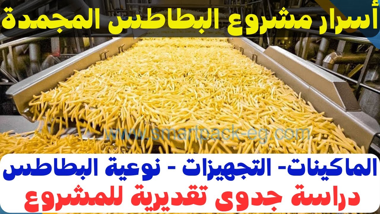 افضل مشروع استثمارى مربح مشروع تصنيع البطاطس النصف مقلية المجمدة 2023