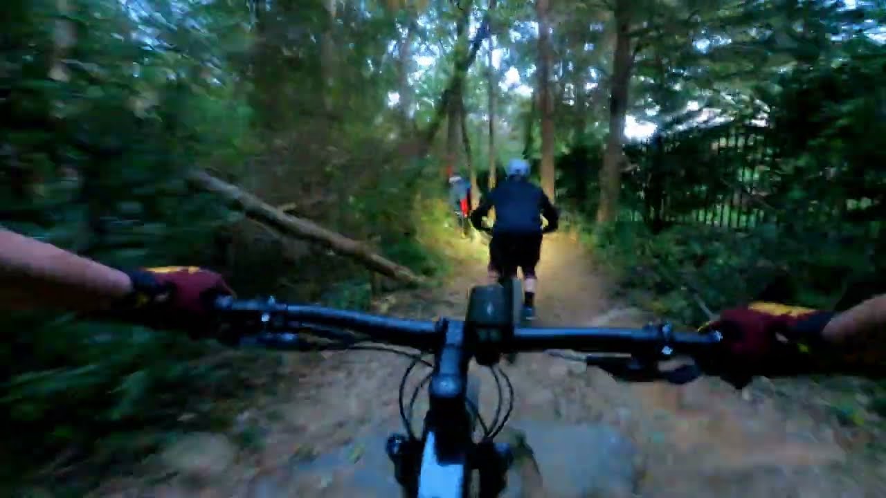 Lake Fairfax