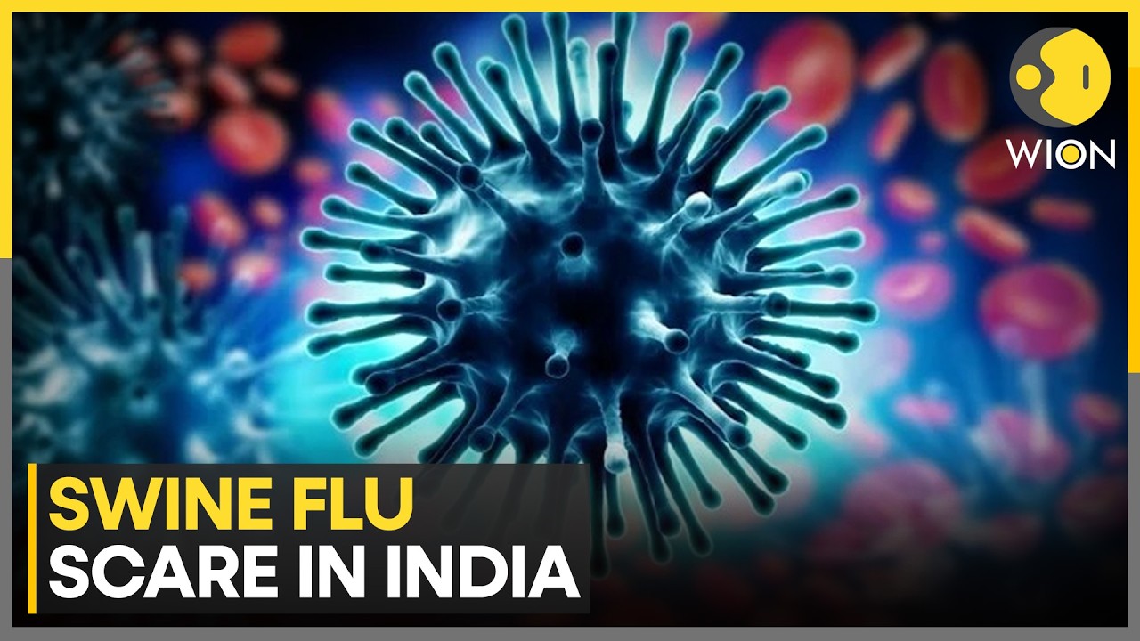 Swine Flu Scare India | Bengaluru: 500+ Students Reportedly Develop Flu-Like Symptoms | WION