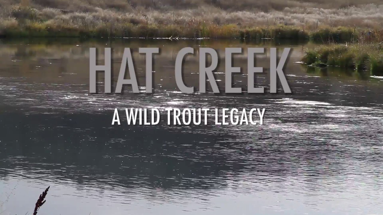 Hat Creek - A Wild Trout Legacy