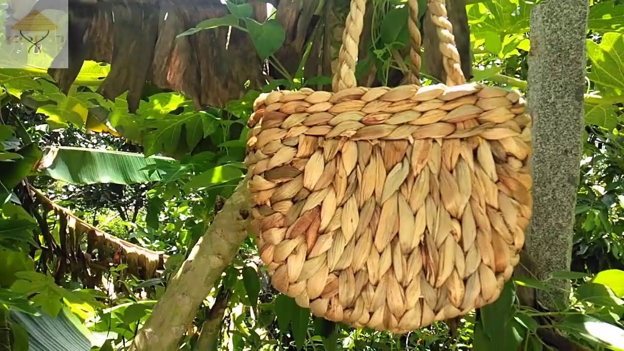 hướng dẫn đan cái giỏ xách bằng lục bình ( sample 1)/ cop ti