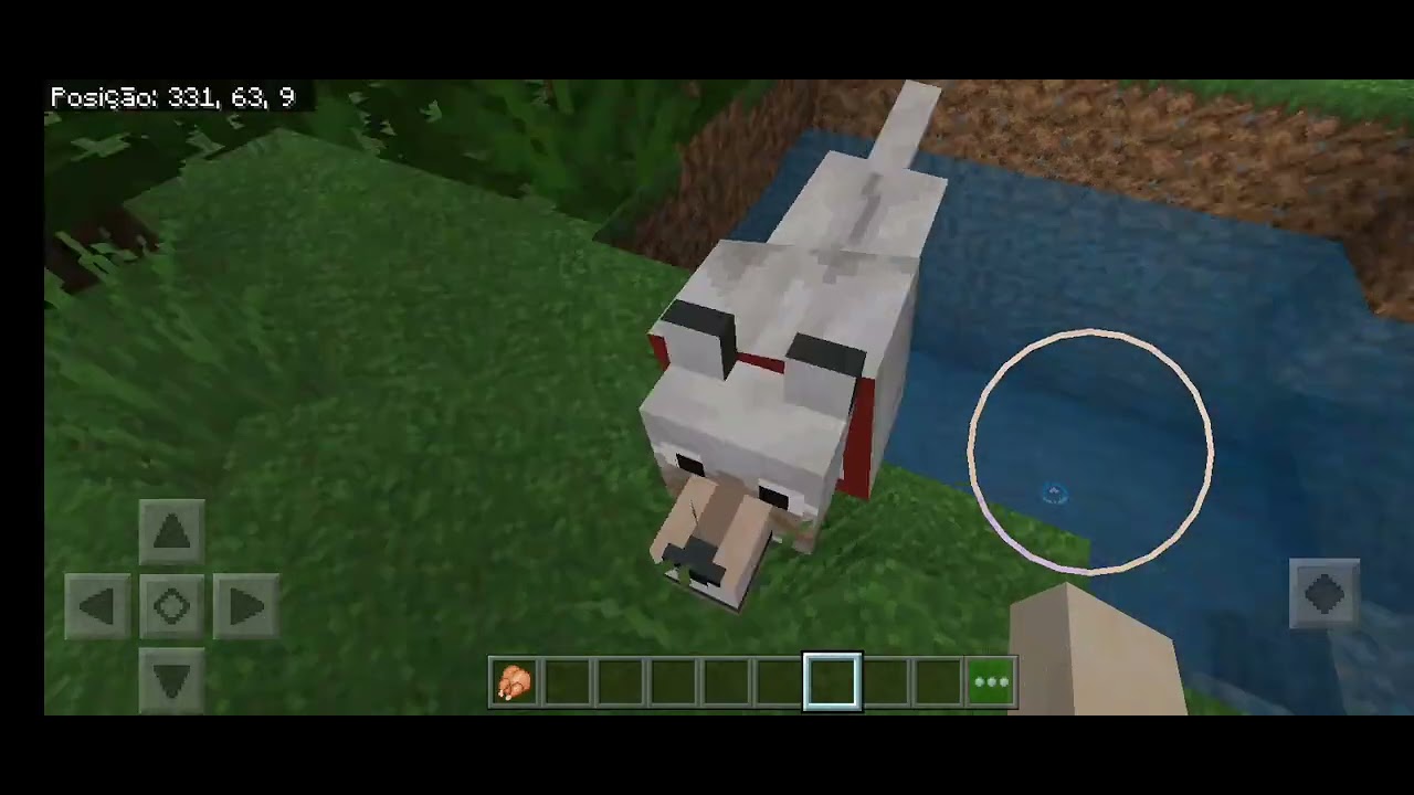 Meu vídeo na base