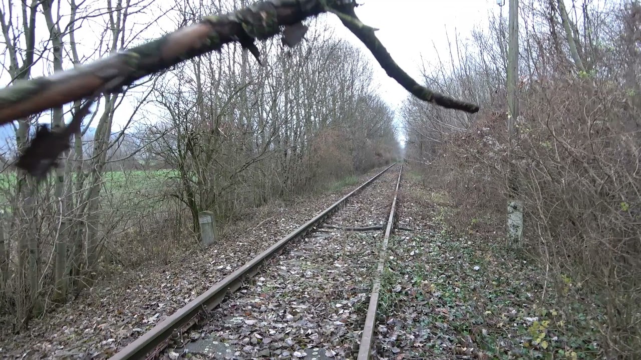 2021.12.06 Vonalbejárás 62-es vonal Harkány-Siklós