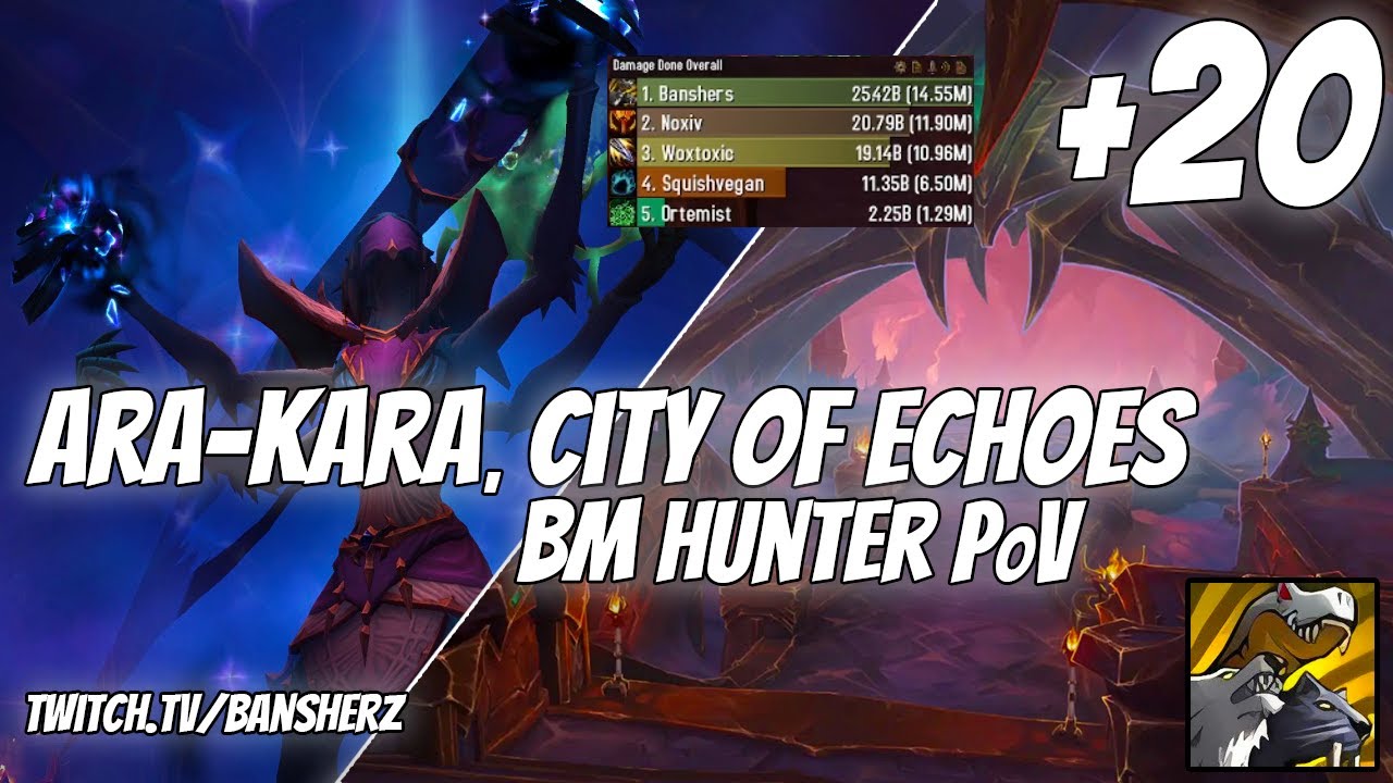 +20 Ara-Kara BM Hunter PoV