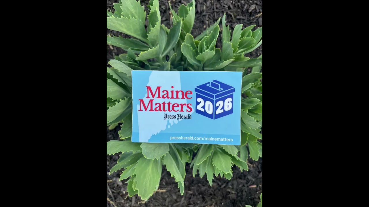 Want to know why Maine Matters this election?