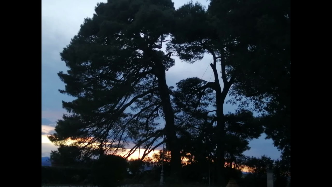 W.A.MOZART  Serenata KV.525