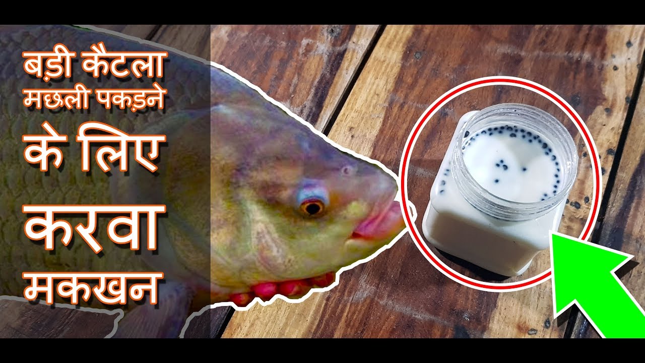 बड़ी कैटला मछली पकड़ने के लिए करवा मक्खन Amazing Primitive Catla Fishing Chara Karwa Makkhan