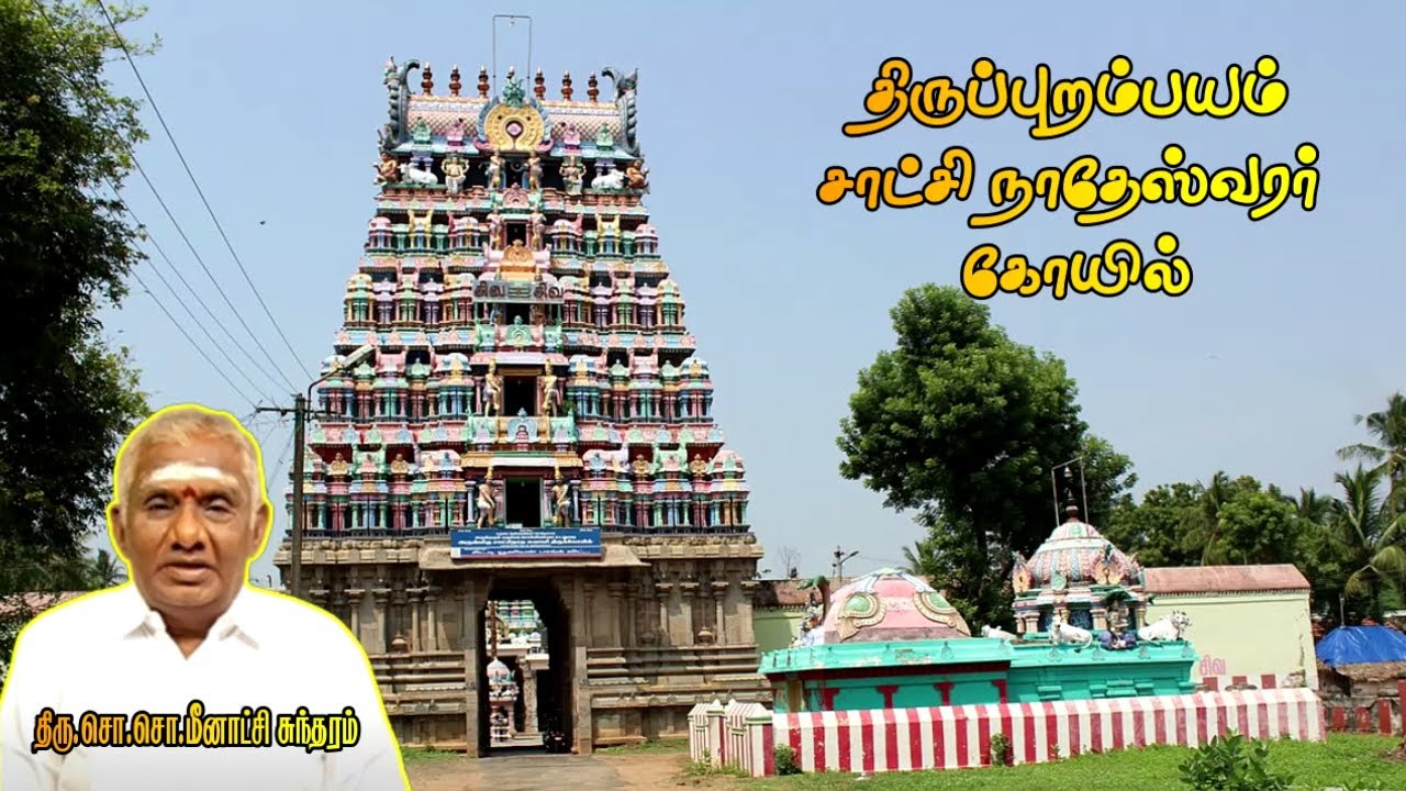 திருப்புறம்பயம் சாட்சி நாதேஸ்வரர் கோயில் | Thiruppurambiyam Sakshinatheswarar Temple History Tamil |