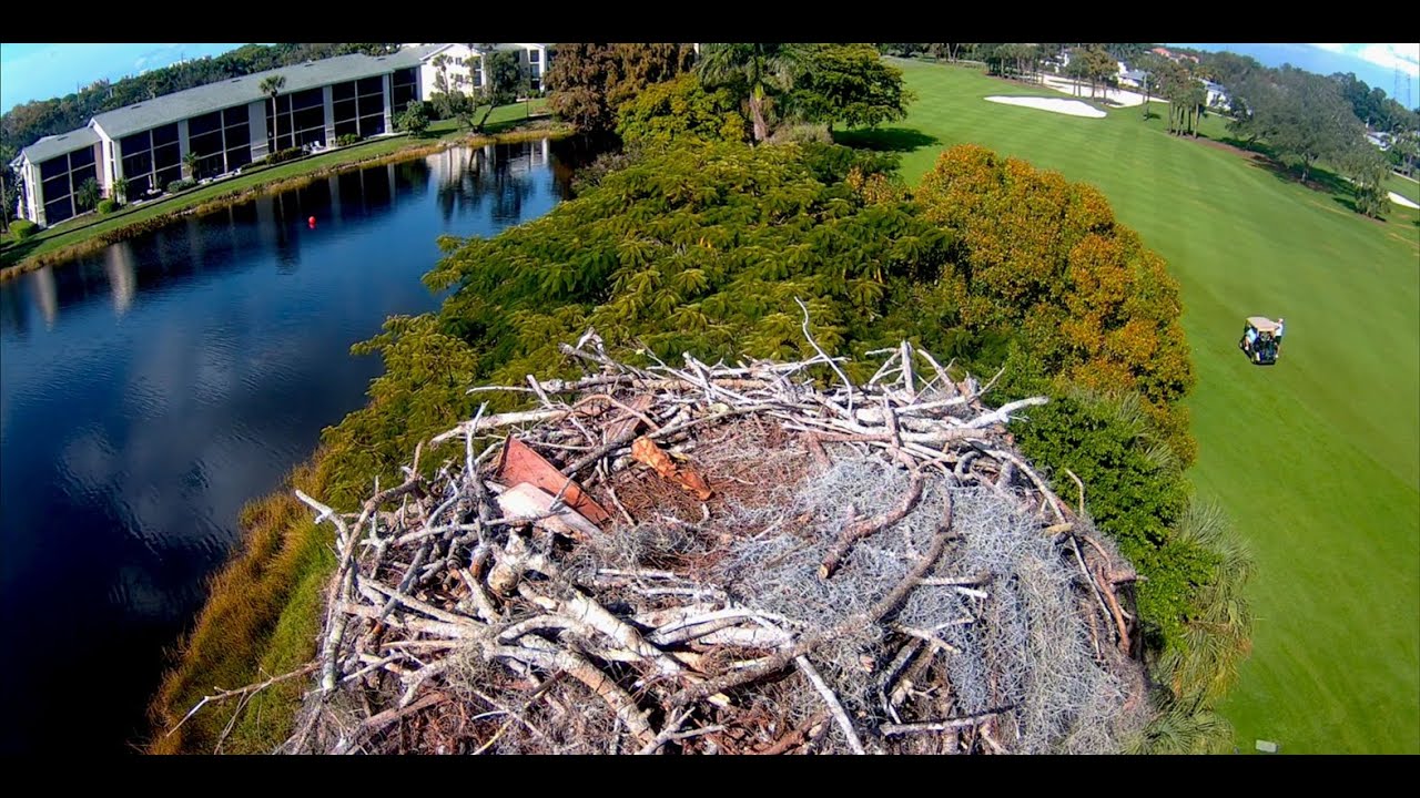 2026 Moorings Park Osprey Live Stream Naples, FL
