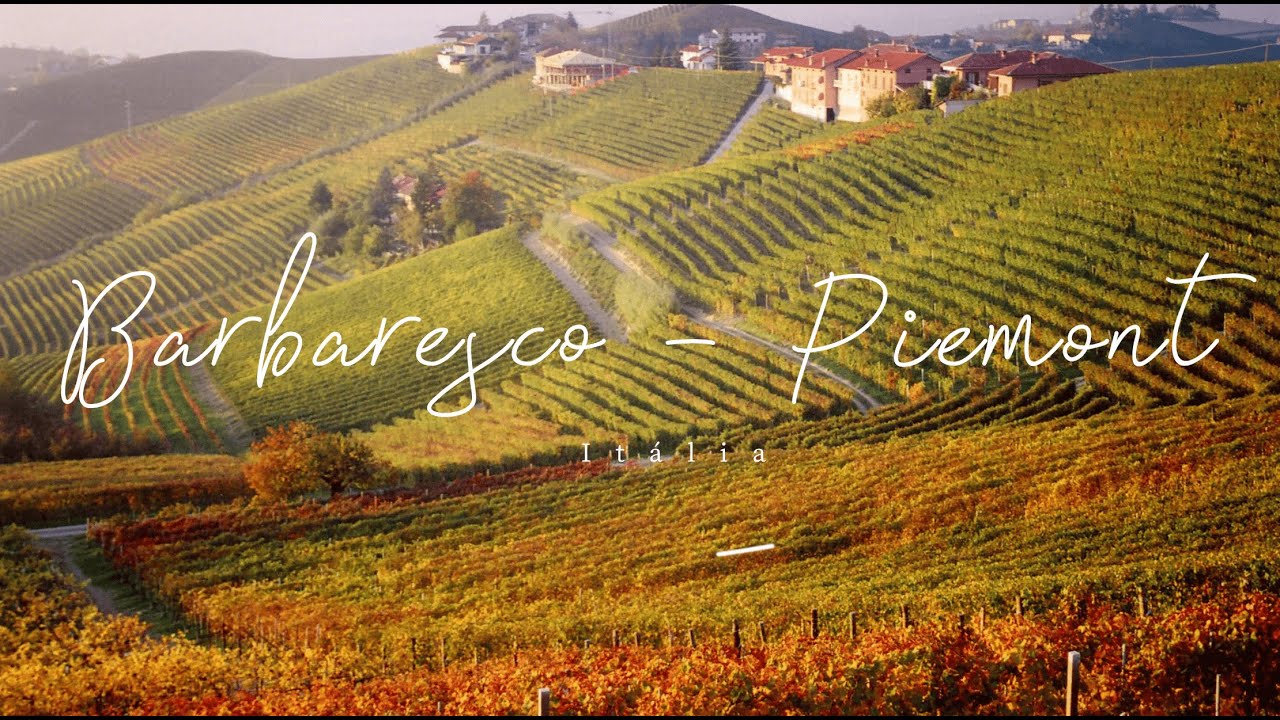 Barbaresco   Piemont / Itália