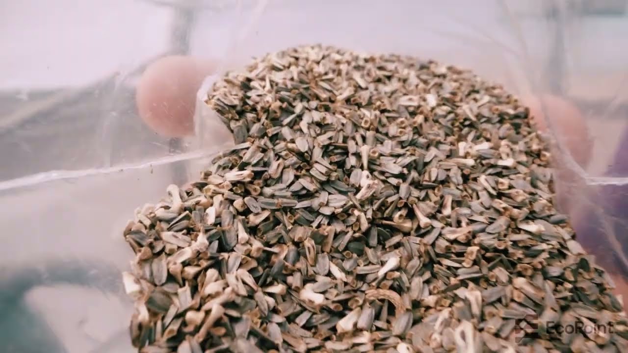 Native Plants. Lasting Ecosystems. EcoPoint&rsquo;s Live Plant Program