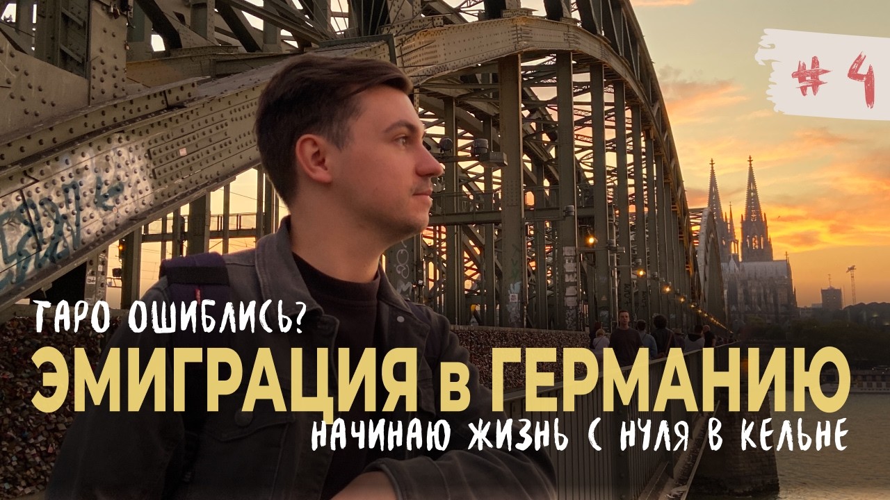 Получили одобрение немецких виз? Эмиграция с собакой и предсказания ТАРО