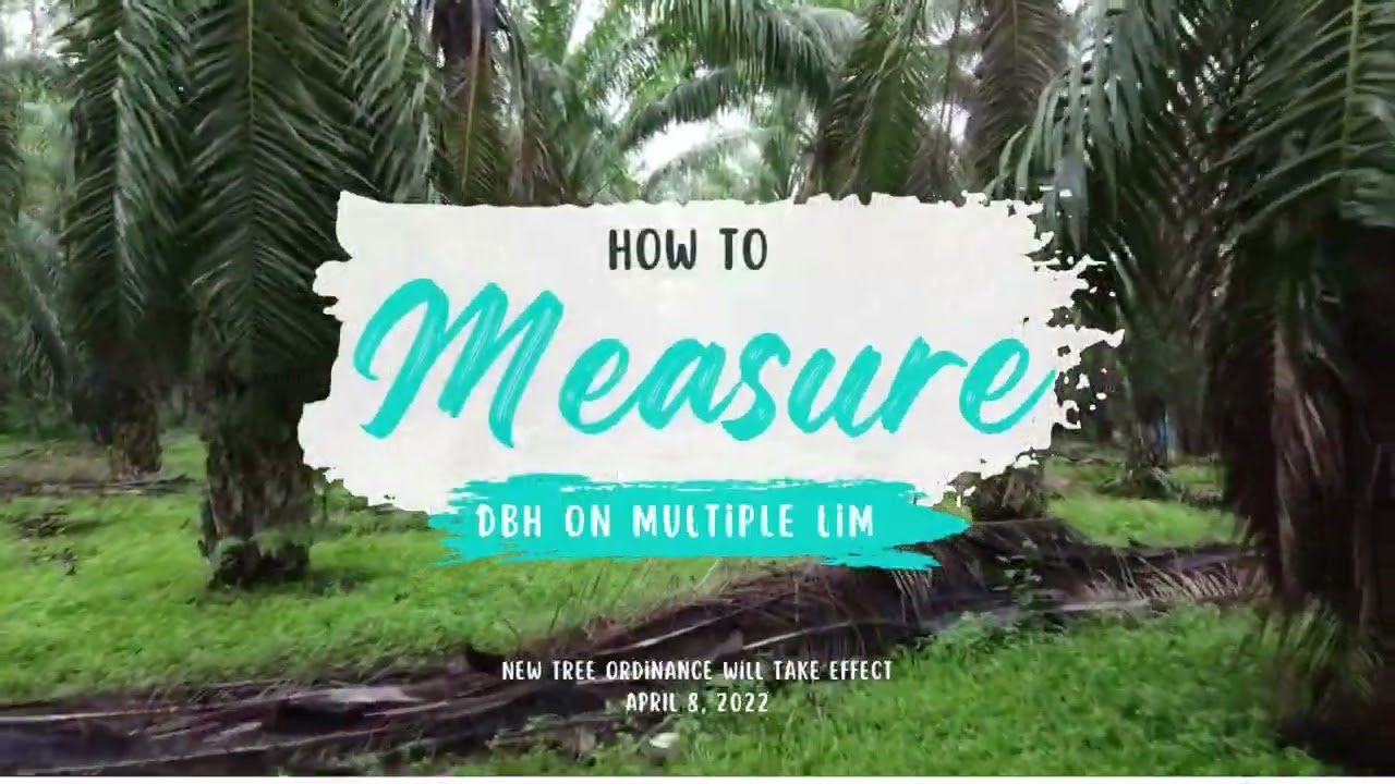 How To Measure DBH Full Video