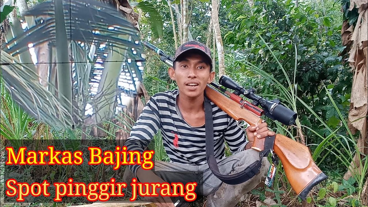 spot bikin lupa pulang || berburu tupai menggunakan pcp mouser od 28