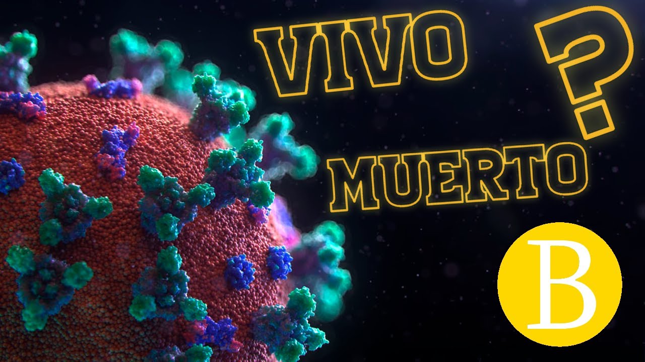 ¿Los VIRUS son SERES VIVOS? | Biología Desde Cero