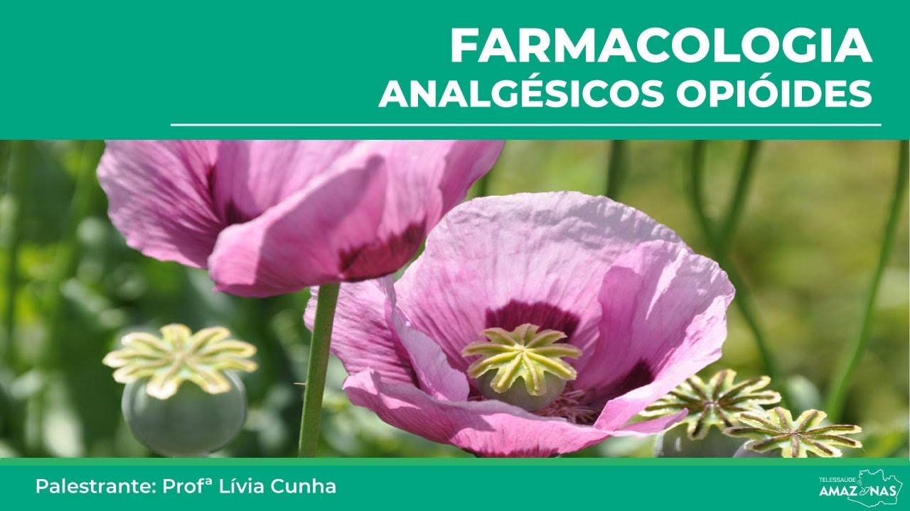 Farmacologia - Analgésicos Opióides