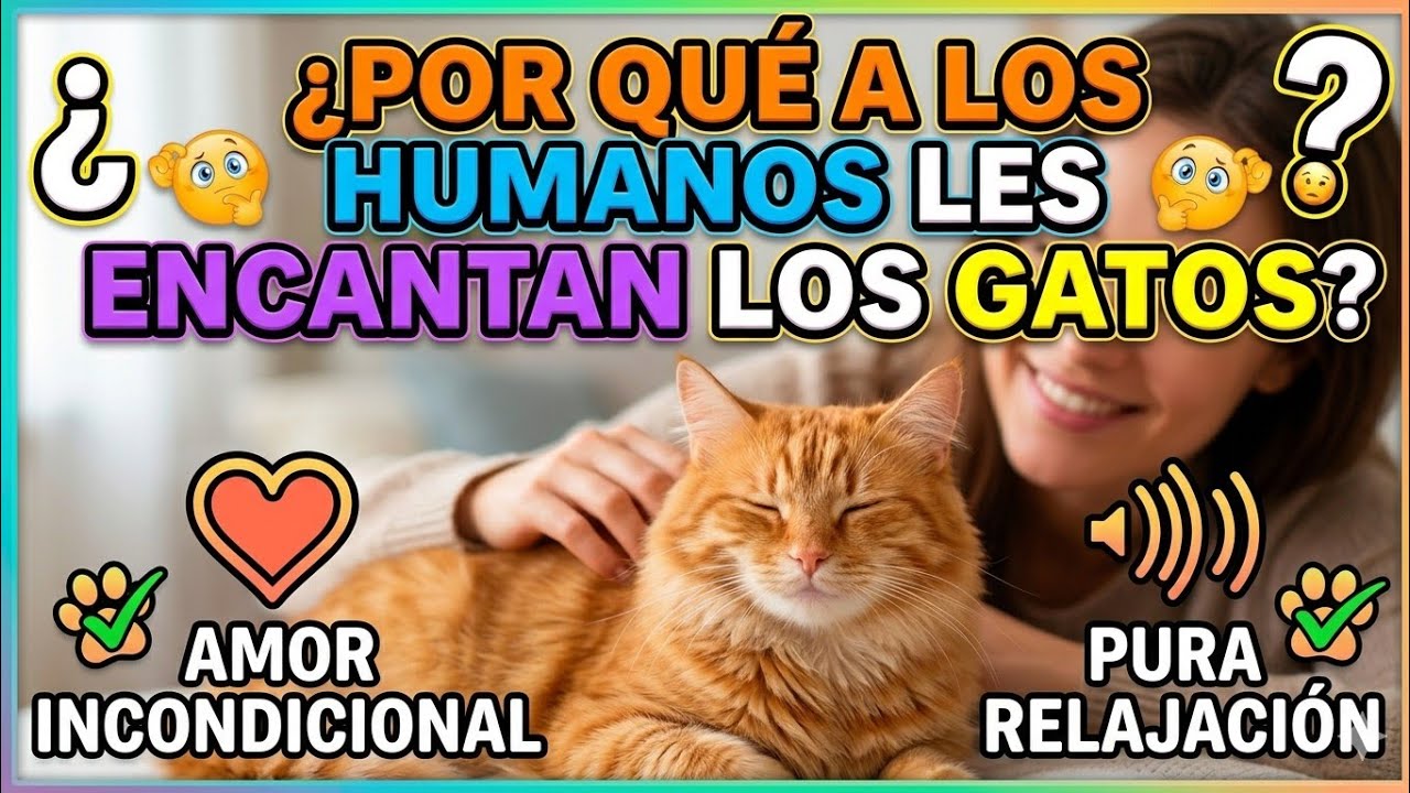 ¿POR QUÉ A LOS HUMANOS LES ENCANTAN LOS GATOS? | Personalidad + Famosos como Páez Vilaró y Mercury