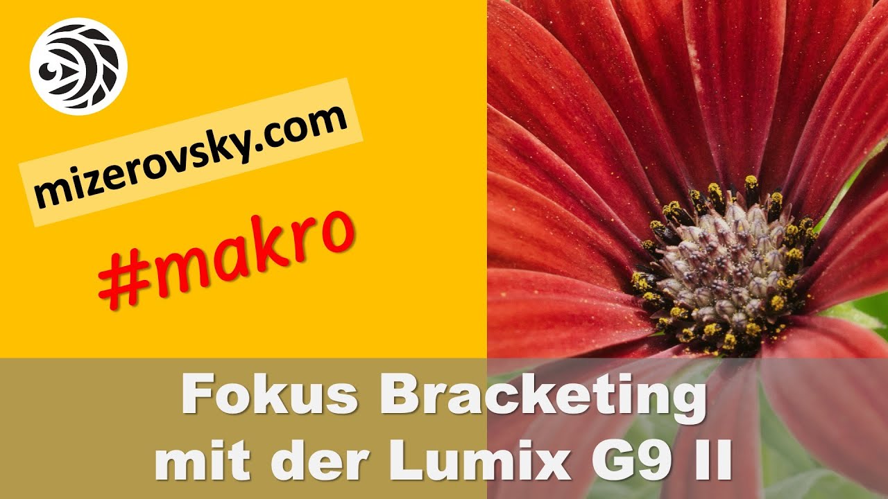 Fokus Bracketing und Stacking mit der Lumix G9 II - mizerovsky.com