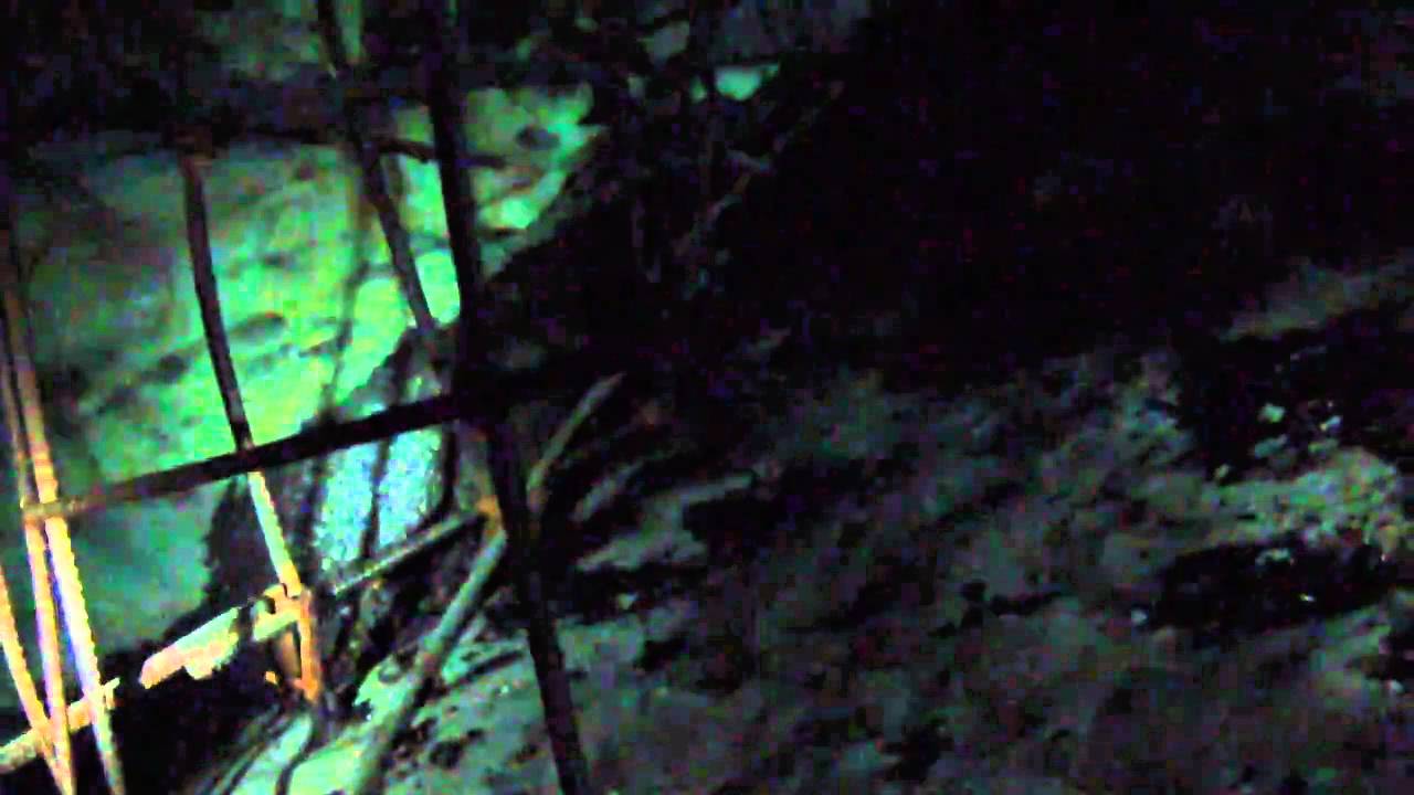 Submarine ROV inside cave Vortex Spring