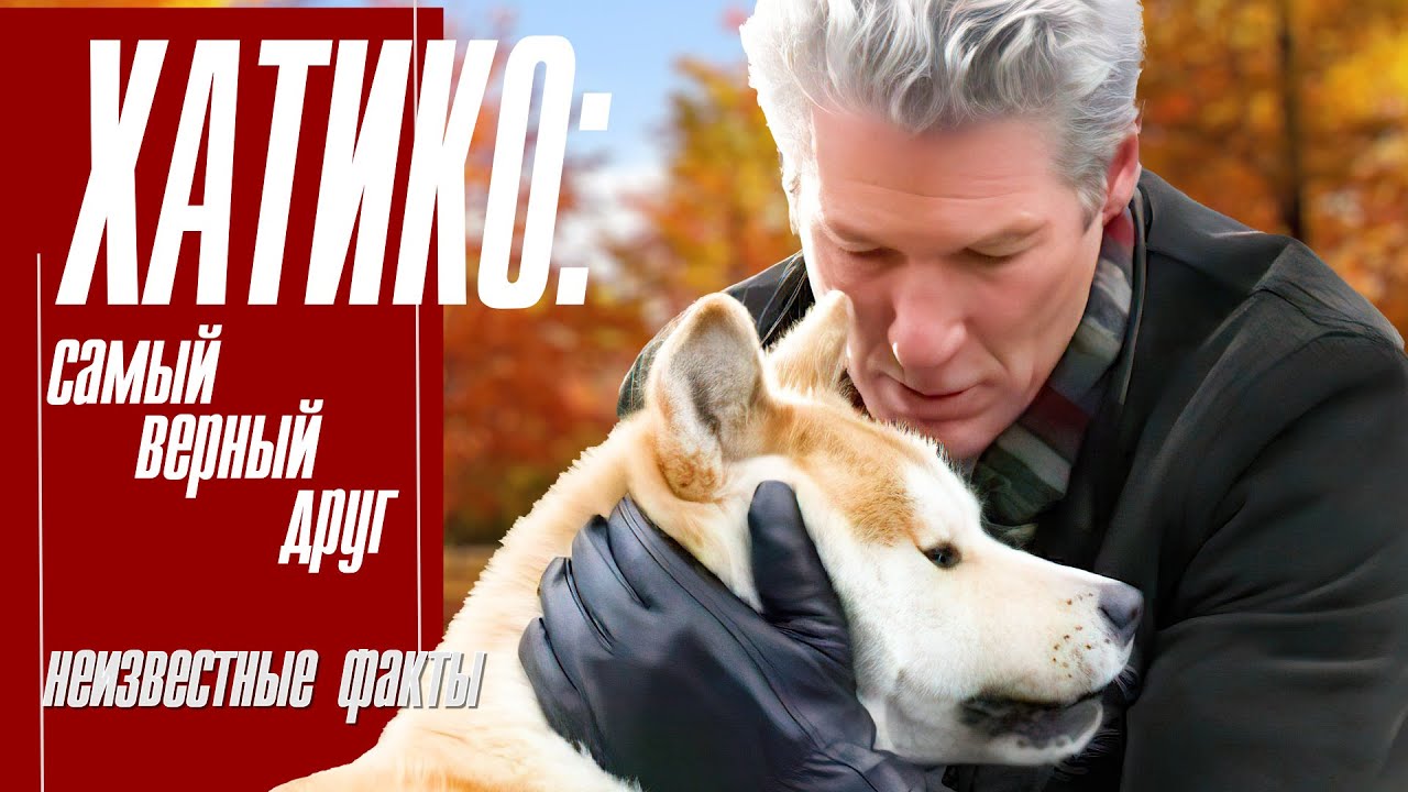 Хатико: Самый верный друг. Неизвестные факты.