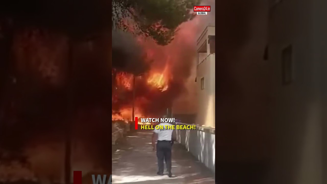 Italy Wildfire: Massive Blaze Forces Beach Evacuations In Gallipoli | Viral Video | World News