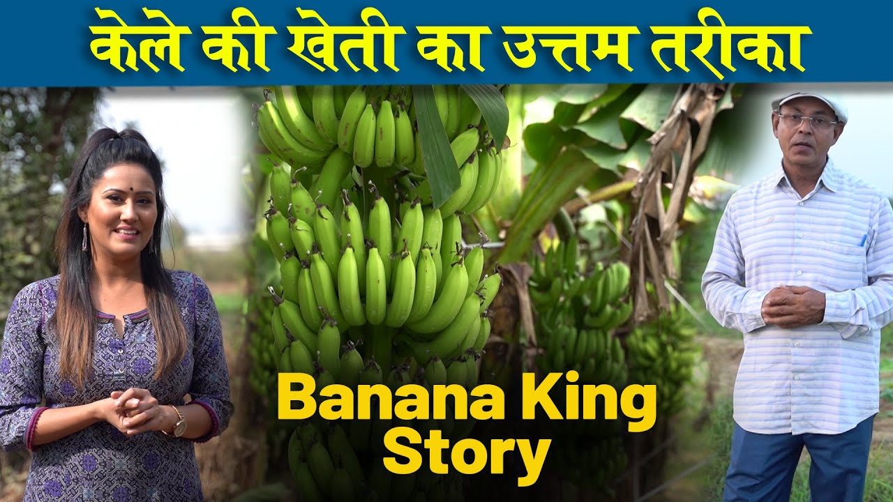 Ram Sharan Verma, Banana King | केले की खेती का उत्तम तरीका  | The White Show