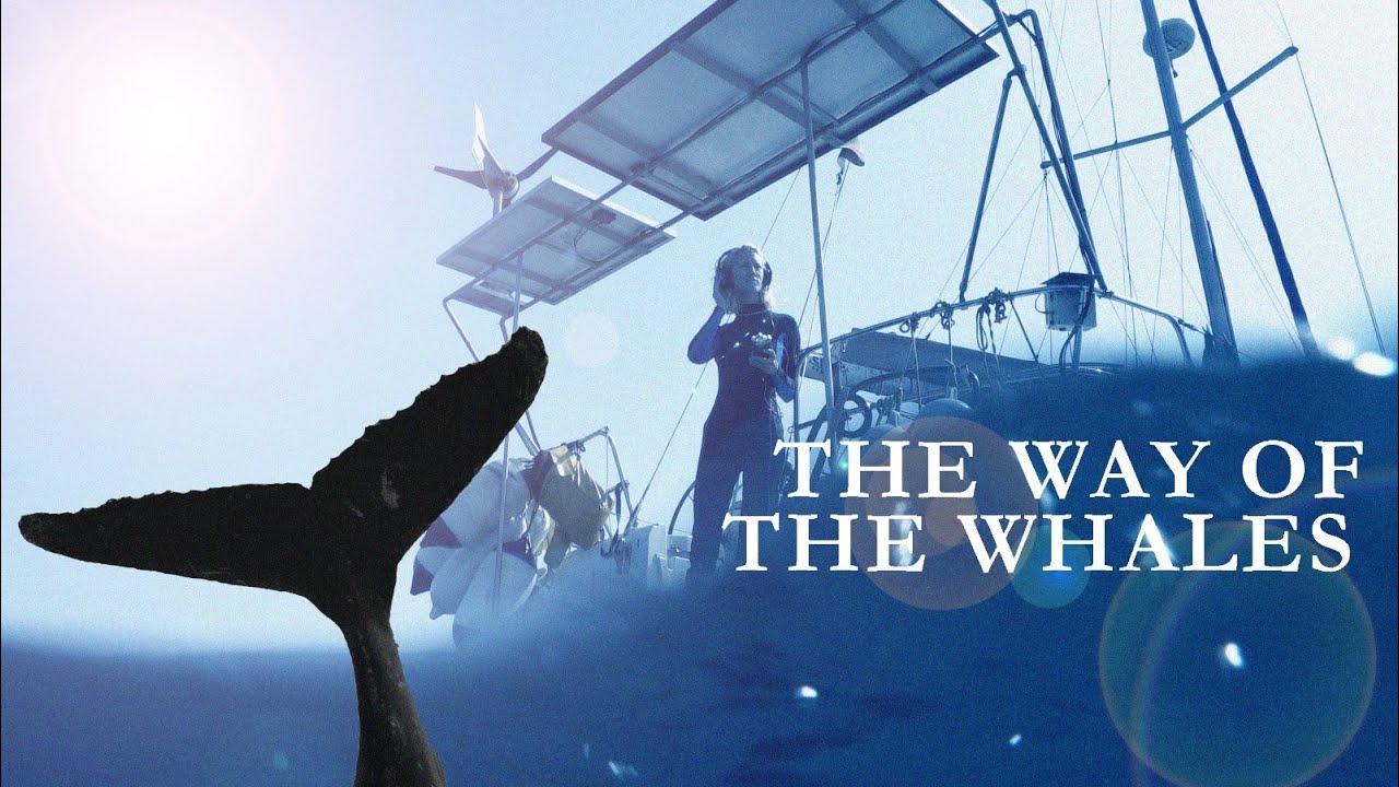 The Way of the Whales - a SEAD Sailing documentary
