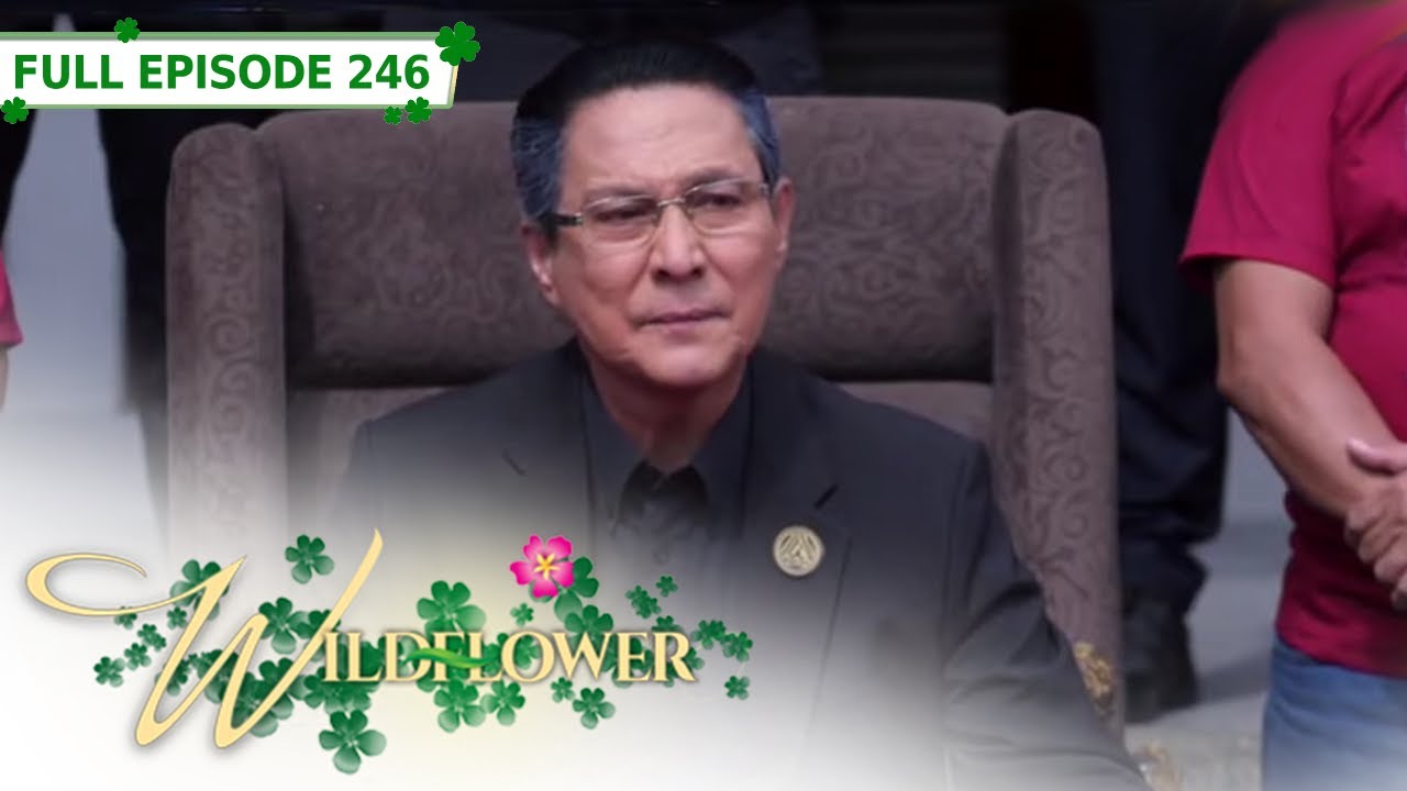 Full Episode 246 | Wildflower with ENG SUB | Maja Salvador, Joseph Marco, RK Bagatsing