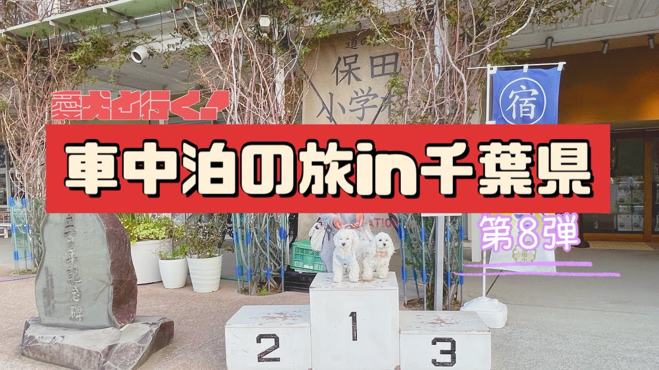 【車中泊】愛犬2匹と行く！ハイエース車中泊の旅in千葉県【愛犬】