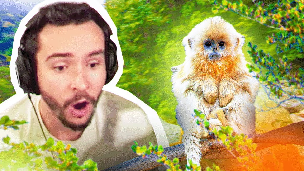 Il est vraiment trop mignon… (REACT Animaux)
