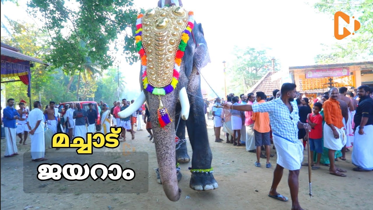 Machad Jayaram Elephant at Vazhalikkavu Vela 2023