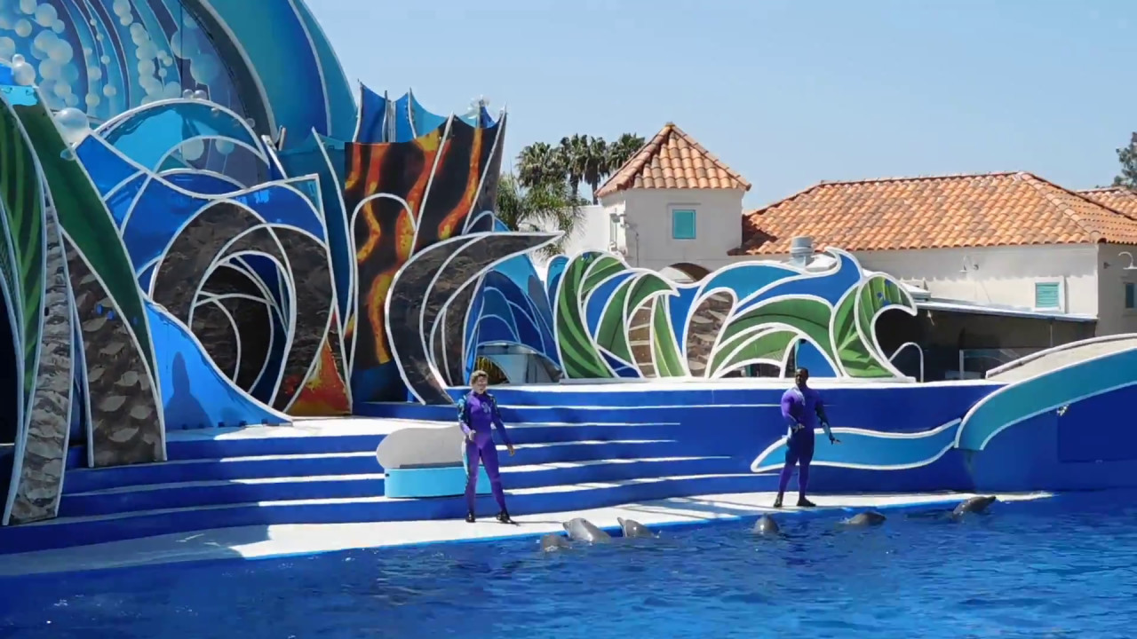 Dolphin Days - Seaworld San Diego - May 4, 2017