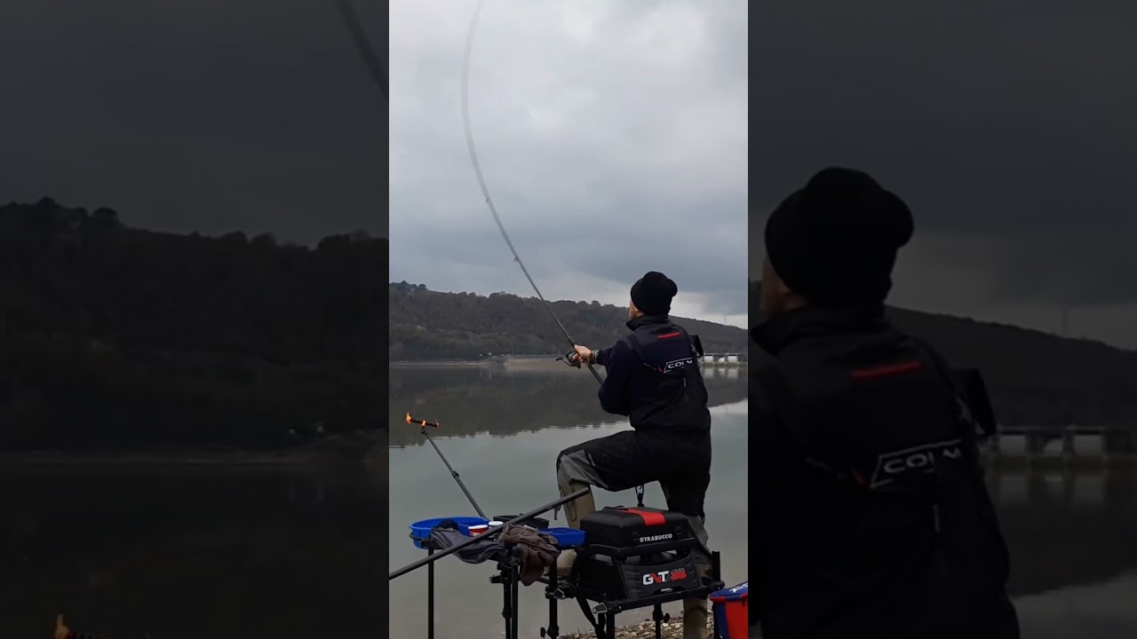 Feeder  alla diga di Corbara #short #feeder #feederfishing #fishing #pesca #feedercorbara