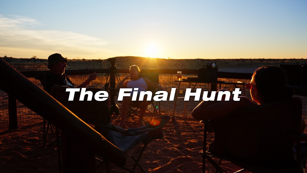 We Spent 10 Days Searching For Africa's Biggest Desert Cats