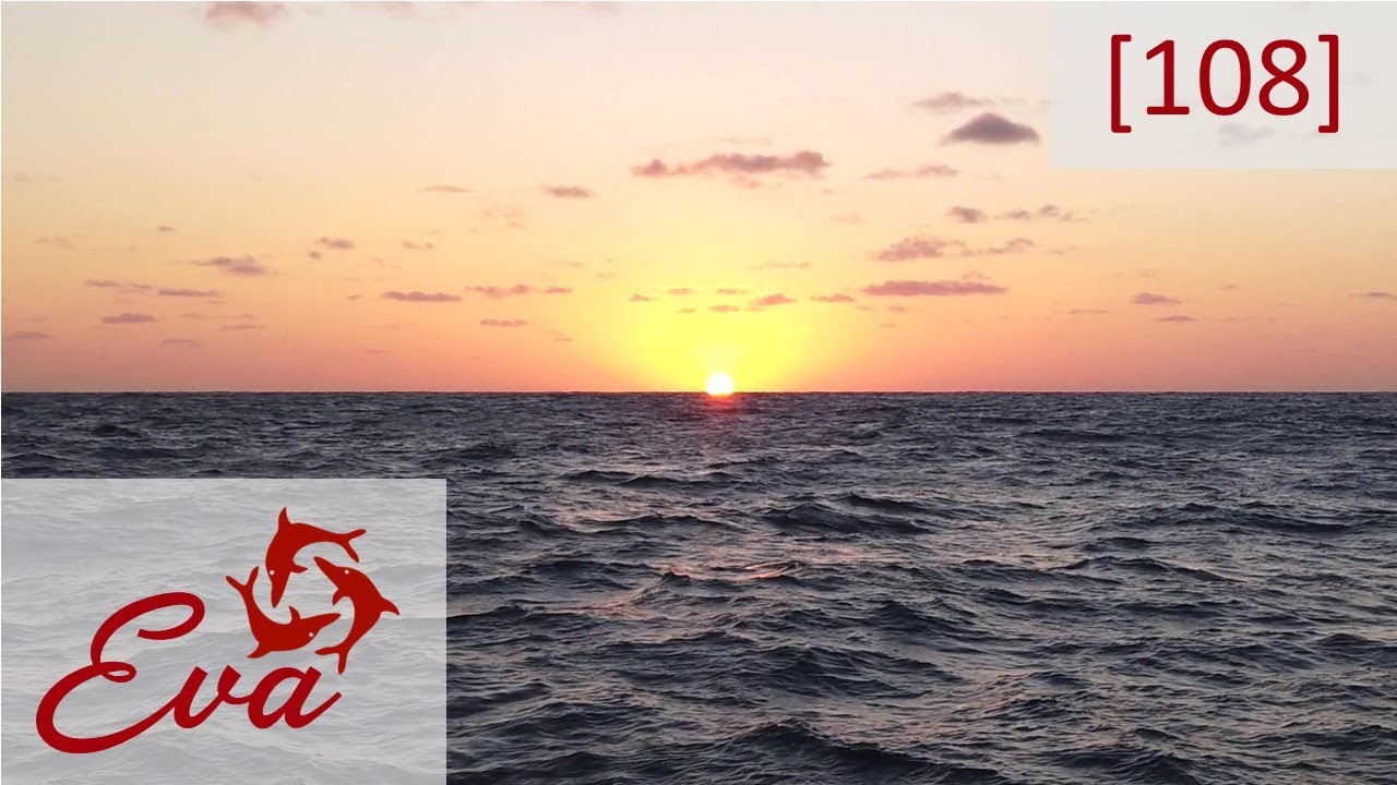 Oceaanoversteek van Sint Maarten naar de Azoren [deel 2] - Sailing Eva [108]