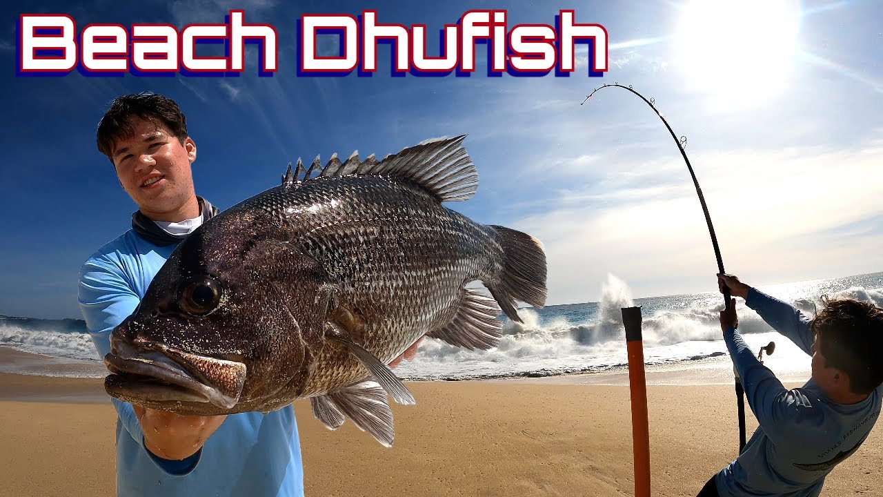 We Did It Again! | Dhufish Drone Fishing