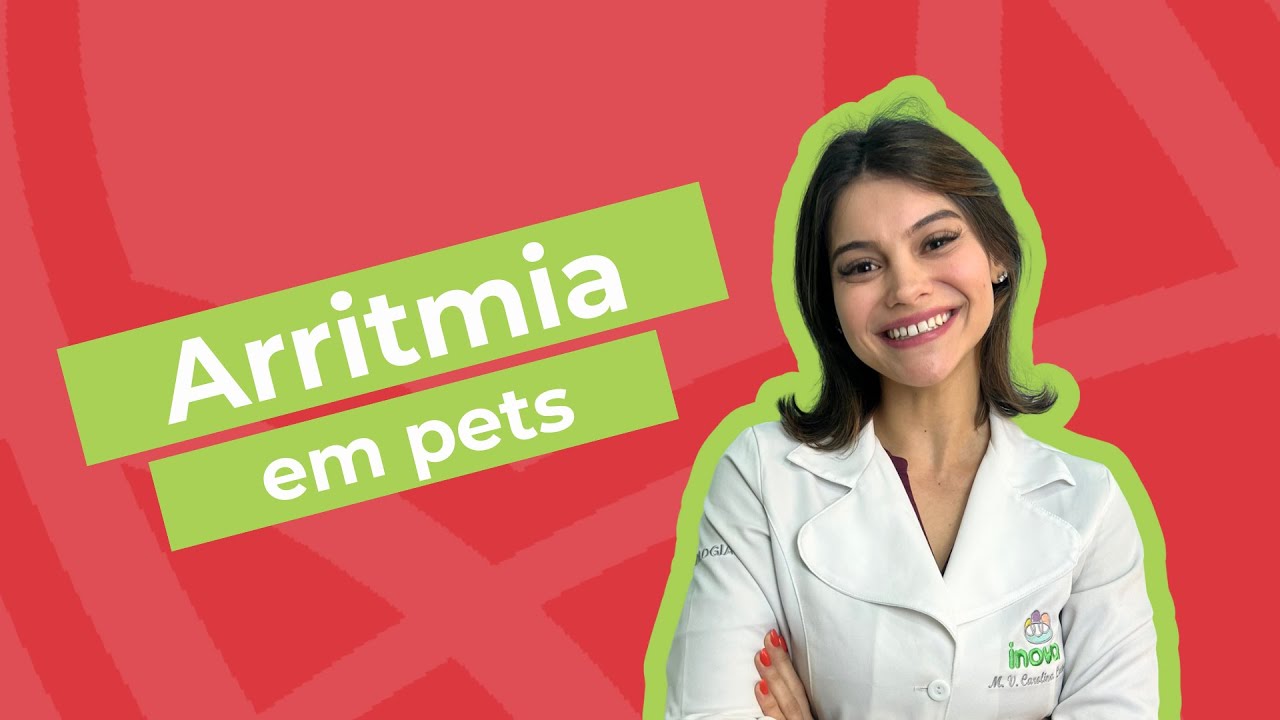 Os pets podem ter arritmia? | Inova Hospital Veterinário