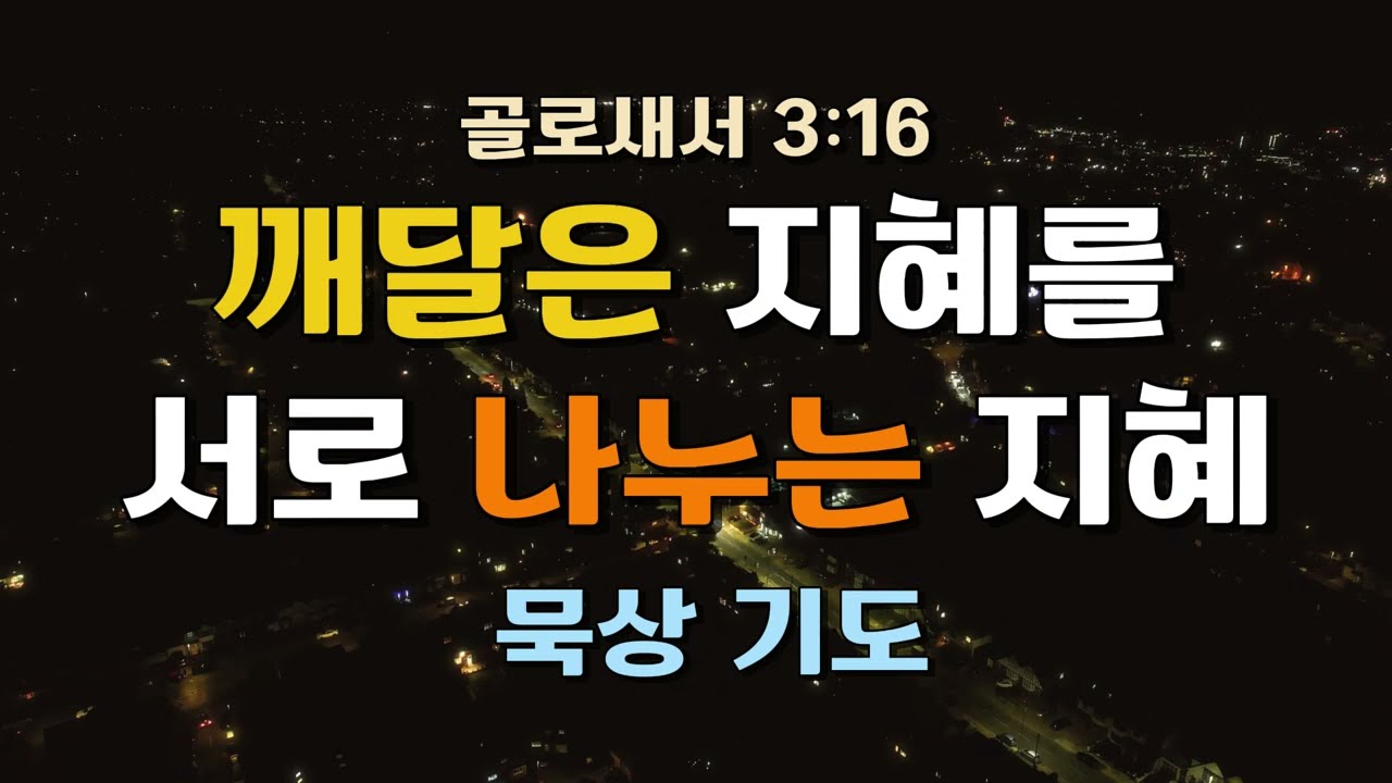 깨달은 지혜를 서로 나누는 지혜 | 골로새서 3:16 | 묵상 기도