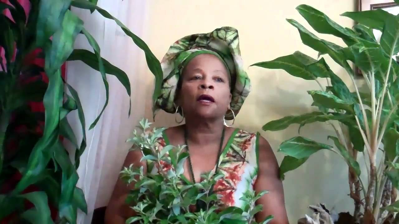 Ogun video   1
