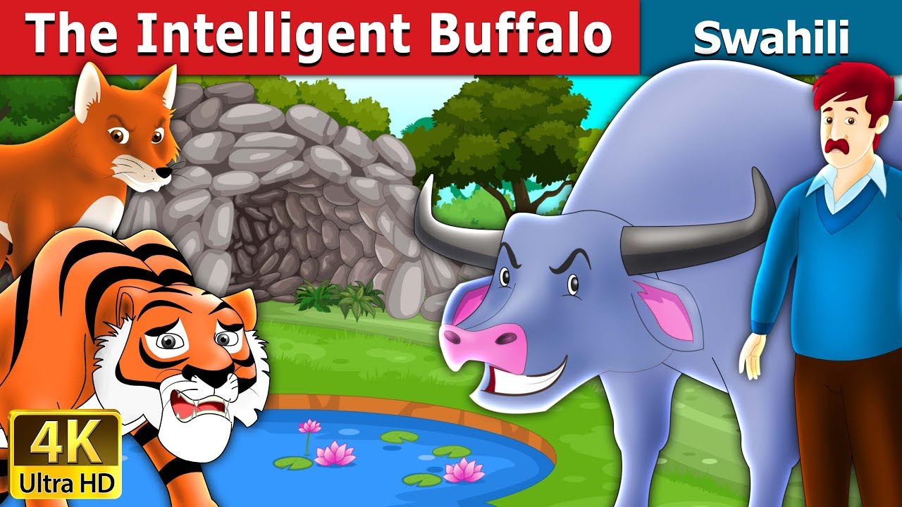 Buffalo yenye akili | The Intelligent Buffalo Story in Swahili | Swahili Fairy Tales