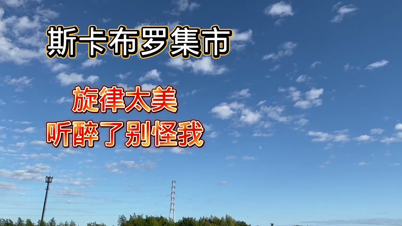 旋律太美，听醉了别怪我。《斯卡布罗集市》请欣赏